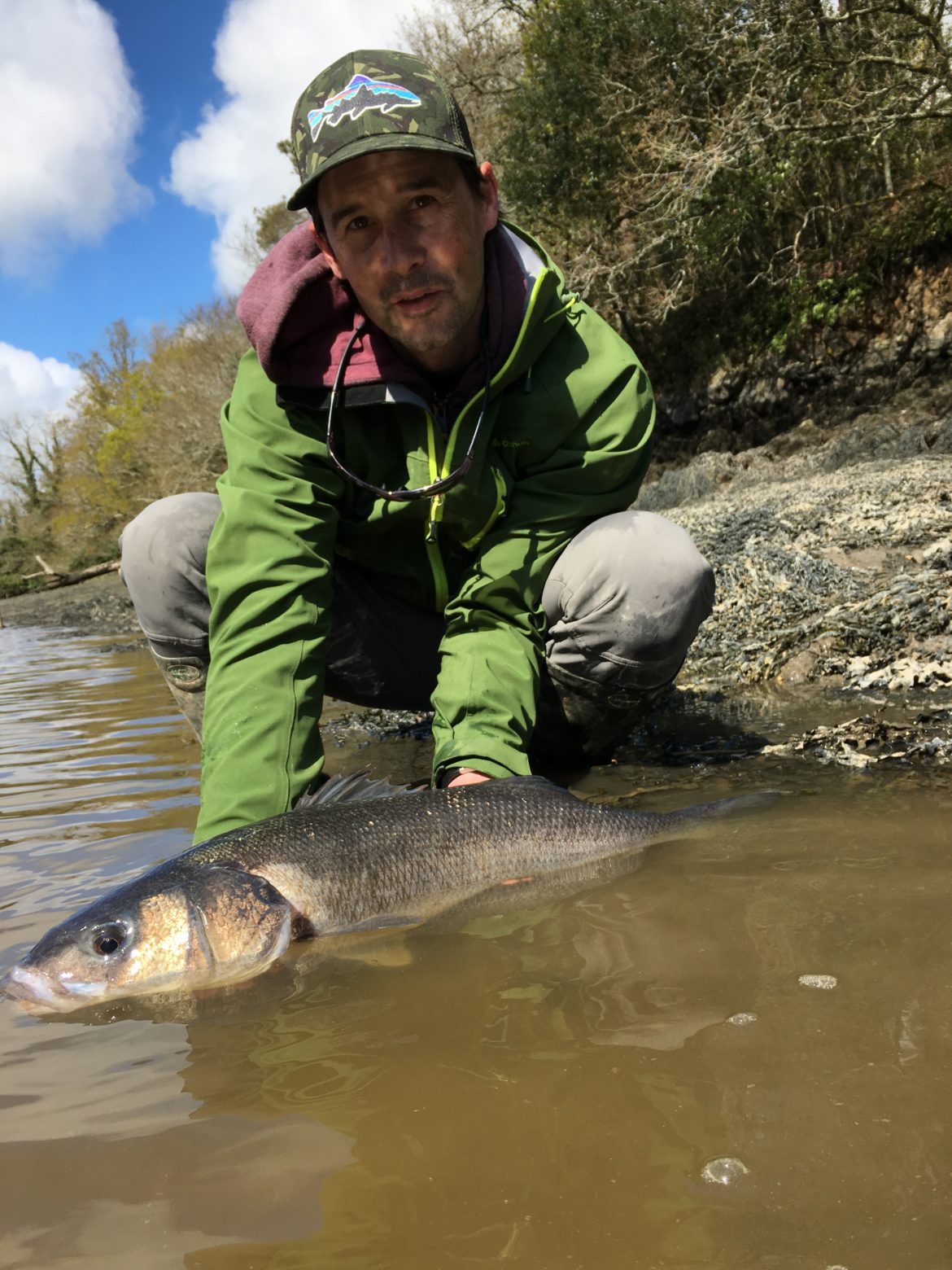 Pêche du bar depuis le bord un bon début de saison Ultimate Fishing