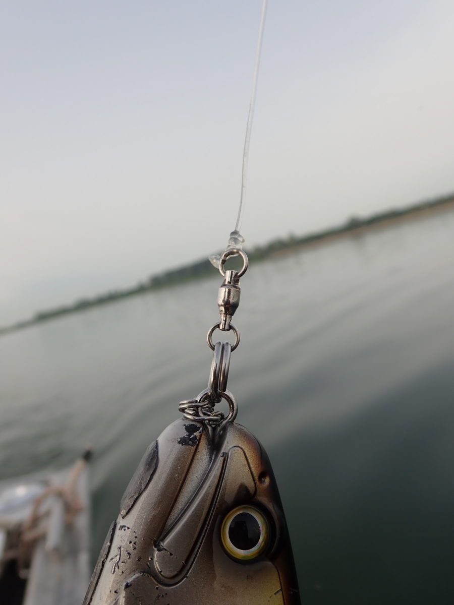 Choisir le bon diamètre de fil pour la pêche au brochet - Leurre de la pêche