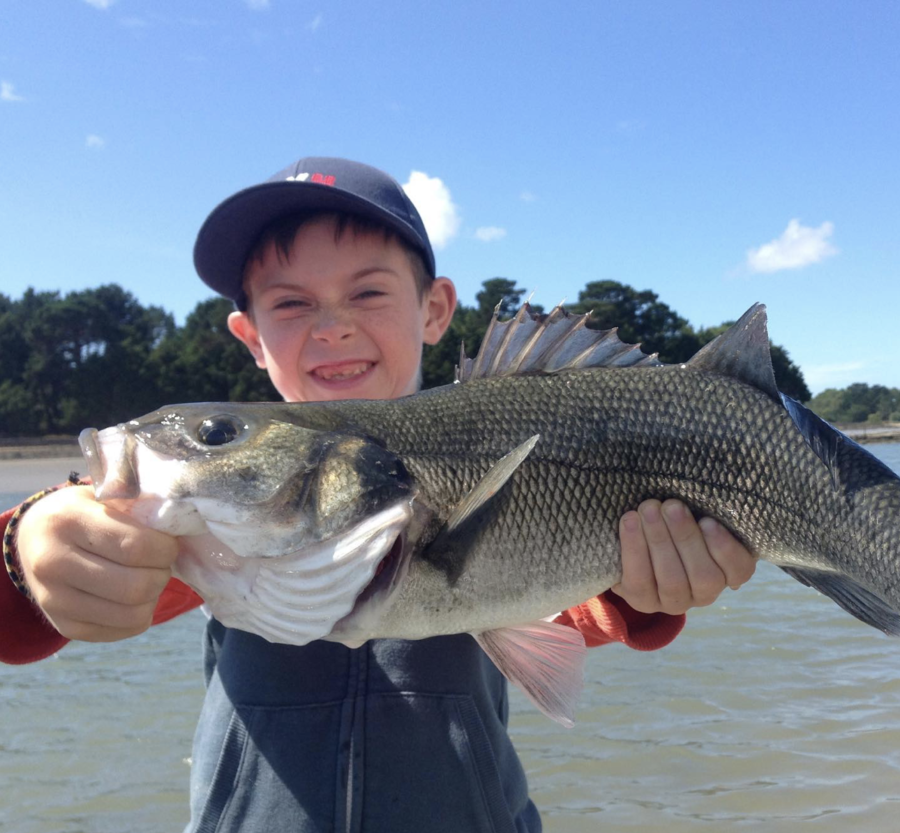 Facikono Crankbait Lot de 10 leurres à manivelle pour pêche au bar