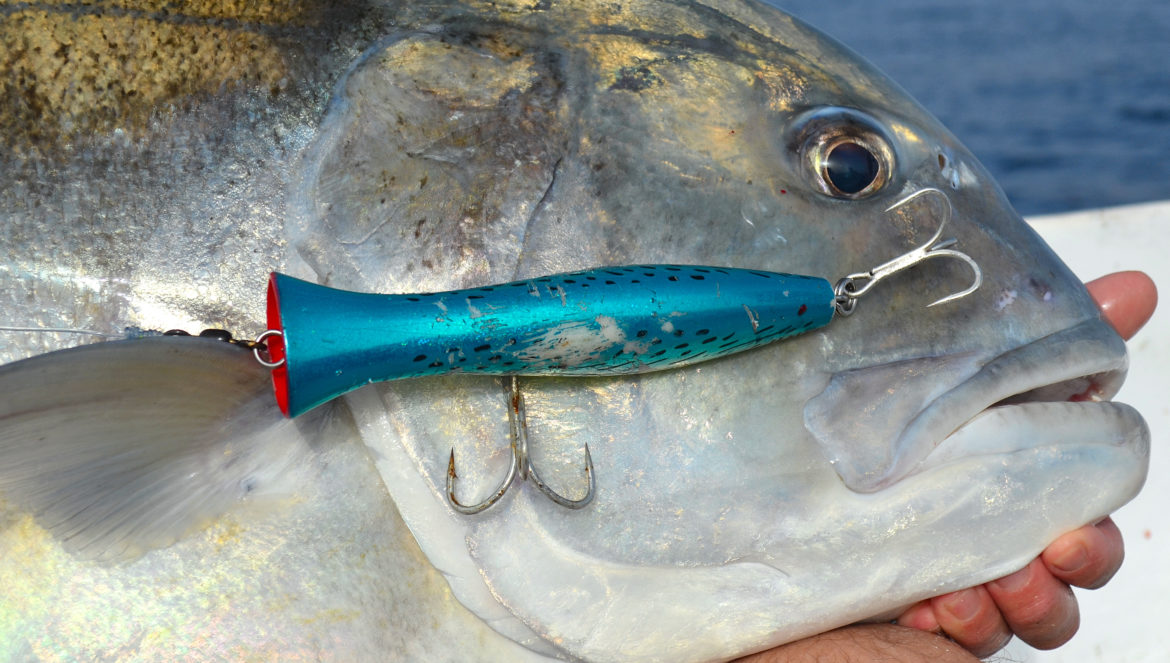 Ultimate Fishing  la passion de la pêche aux leurres